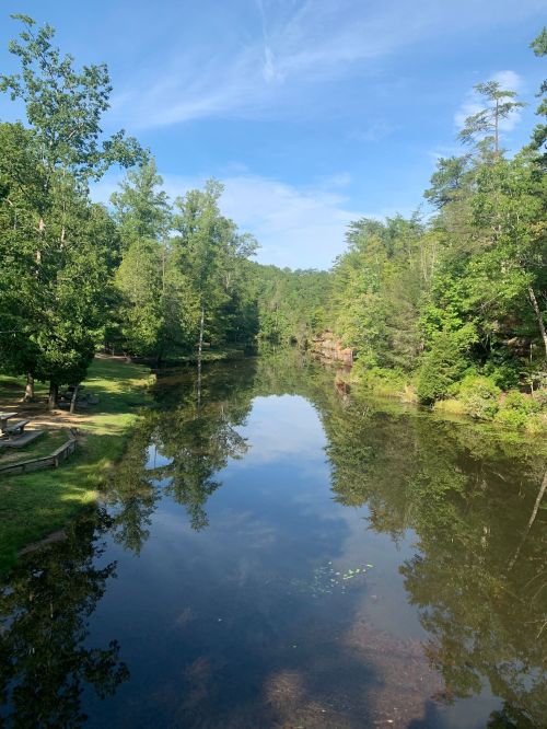 A serene pond surrounded by lush green trees under a clear blue sky, reflecting the landscape in calm water.