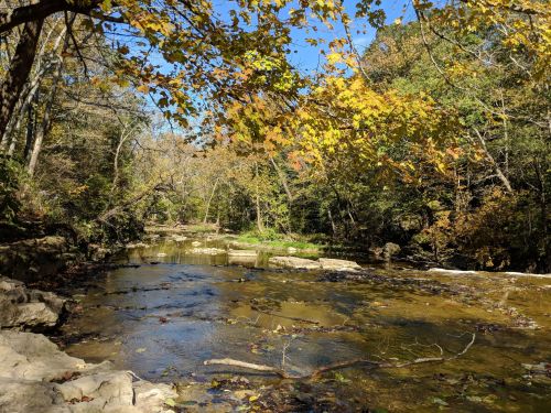 A serene river scene surrounded by trees with autumn leaves, reflecting a clear blue sky.