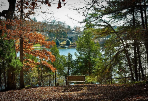 A serene lakeside view with a wooden bench surrounded by trees and autumn foliage.