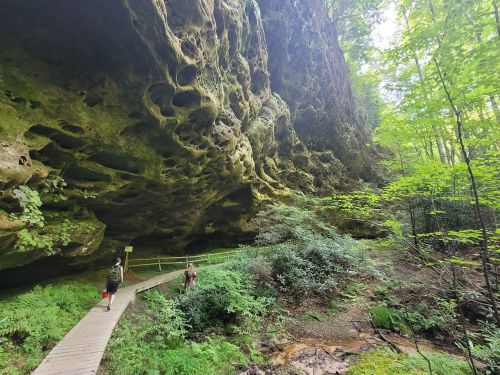 A wooden path leads through lush greenery beneath a large, textured rock overhang in a forested area.
