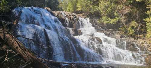 A cascading waterfall surrounded by lush greenery and rocky terrain, with sunlight filtering through the trees.