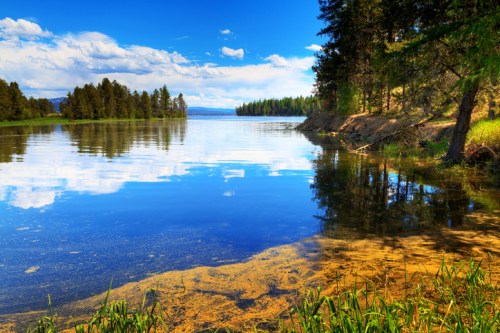 A serene lake surrounded by trees, reflecting blue skies and clouds, with a sandy shore and lush greenery.