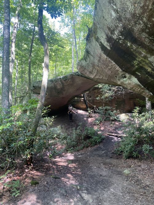 A person stands beneath a large rock overhang in a lush green forest, surrounded by trees and shrubs.