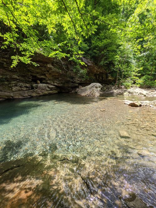 A serene river flows through a lush green forest, with clear water reflecting sunlight and smooth stones beneath.