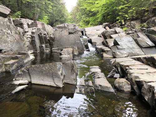 A serene rocky stream surrounded by lush green trees, with water flowing gently over large stones.