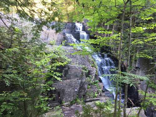 A serene waterfall cascading over rocky terrain, surrounded by lush green trees and foliage.