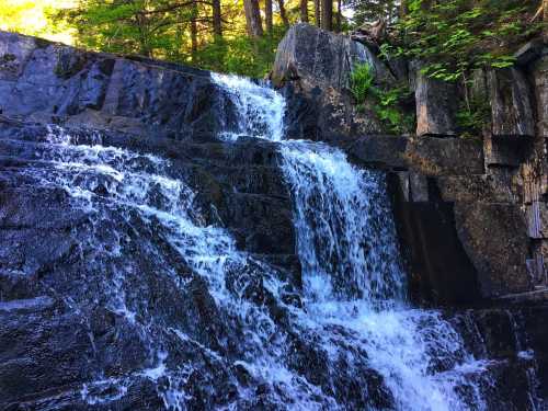 A cascading waterfall flows over dark rocks, surrounded by lush green trees in a serene natural setting.