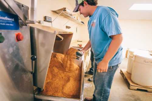 A person in a blue shirt pours grain from a machine into a container in a processing facility.