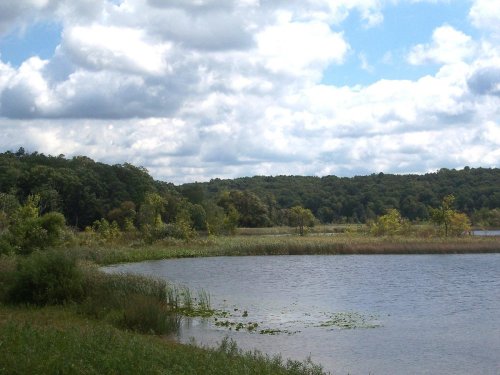 A serene lake surrounded by lush greenery and trees, under a partly cloudy sky.