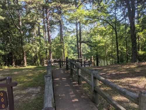 A peaceful pathway through trees leading to a serene body of water, surrounded by lush greenery.