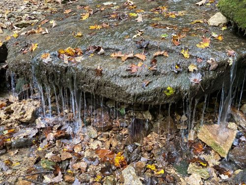 A rocky surface with water trickling over it, surrounded by colorful autumn leaves on the ground.