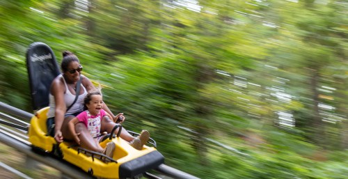 A woman and a child joyfully ride a yellow alpine coaster through a lush, green forest.