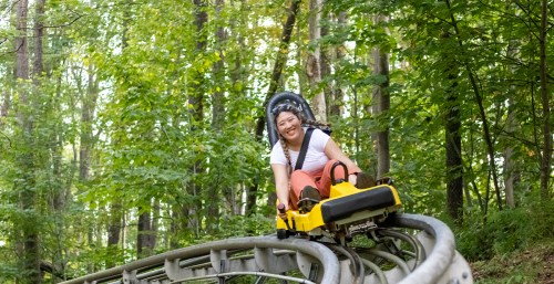 A person joyfully rides a mountain coaster through a lush green forest.