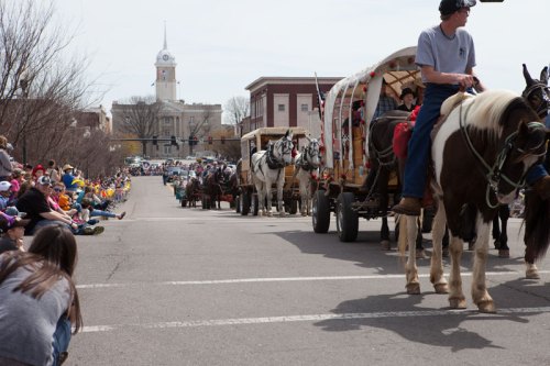 A parade featuring horse-drawn wagons and riders, with a crowd watching along the street and a clock tower in the background.