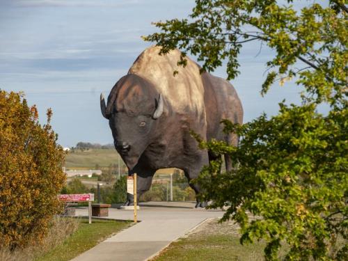 A large statue of a buffalo stands prominently along a pathway, surrounded by trees and open landscape.