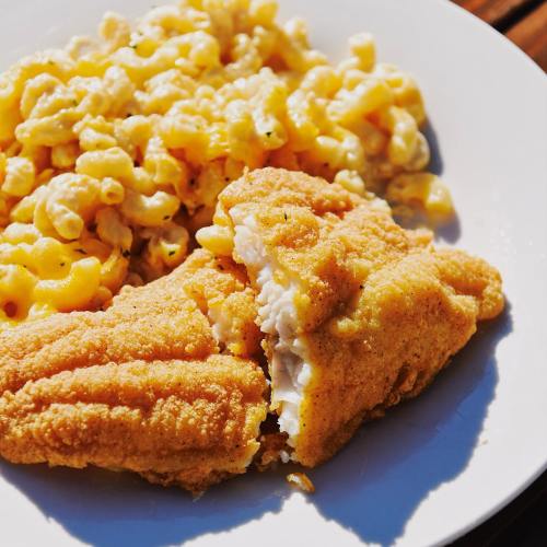 A plate featuring crispy fried fish fillet alongside a serving of creamy macaroni and cheese.