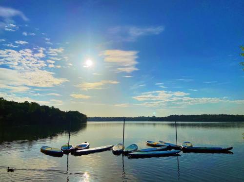 A serene lake scene with paddleboards lined up on the shore under a bright blue sky and soft clouds.