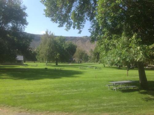 A sunny park with green grass, trees, and picnic tables scattered throughout the area, set against a hillside.