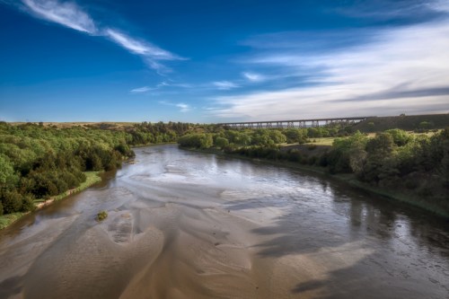 A serene river flows through lush greenery under a blue sky, with a bridge visible in the distance.