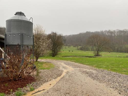 A gravel path leads past a silos and trees, with a green field and hills in the background on a cloudy day.