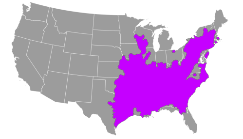 Map of the United States highlighting a large area in the southeastern region in bright pink against a gray background.