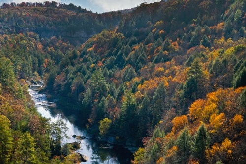 A scenic view of a river winding through a forest of vibrant autumn foliage and rolling hills.