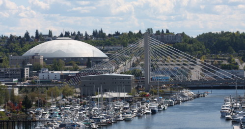 A marina filled with boats, featuring a cable-stayed bridge and a large dome structure in the background.
