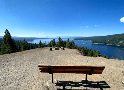 A wooden bench overlooks a serene lake surrounded by trees under a clear blue sky.