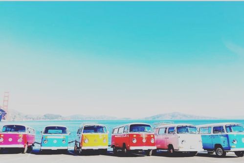 A row of colorful vintage VW buses parked by the water with the Golden Gate Bridge in the background.