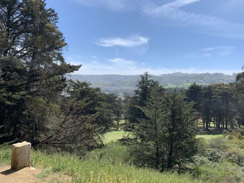 A scenic view of green hills and trees under a clear blue sky, with distant mountains in the background.