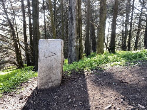 A stone marker with a triangular symbol stands among tall trees and green foliage in a forested area.