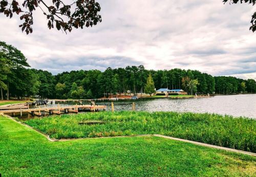 A serene lakeside view with green grass, wooden docks, and trees under a cloudy sky.