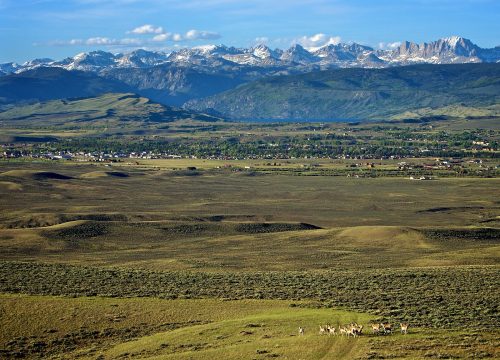 A vast landscape with rolling hills, a distant mountain range, and a herd of animals grazing in the foreground.