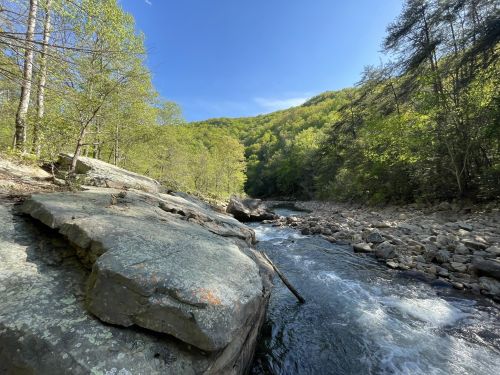 A serene river flows through a rocky landscape, surrounded by lush green trees and a clear blue sky.