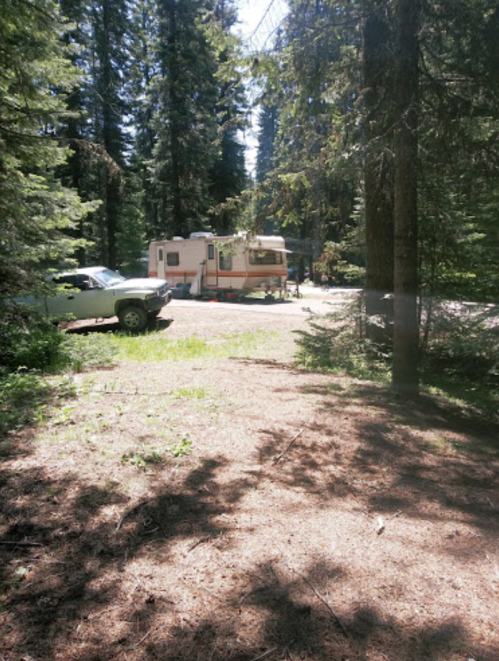 A vintage camper parked in a wooded area, surrounded by tall trees and dappled sunlight on the ground.