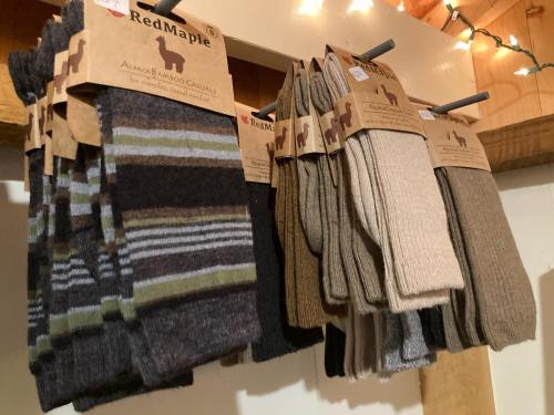 A display of various pairs of socks in neutral colors and stripes, hanging with tags from Red Maple.