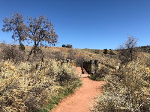 A dirt path leads to a wooden bridge, surrounded by dry grass and trees under a clear blue sky.