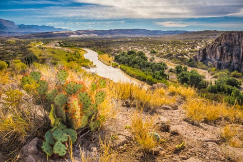 A scenic landscape featuring a river winding through a desert with cacti and mountains in the background.
