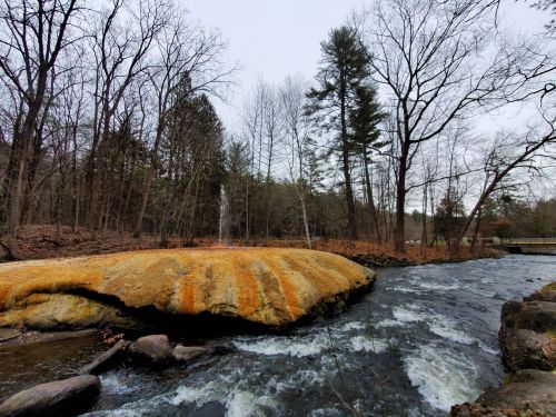 A rocky riverbank with orange moss, surrounded by bare trees and flowing water under a cloudy sky.