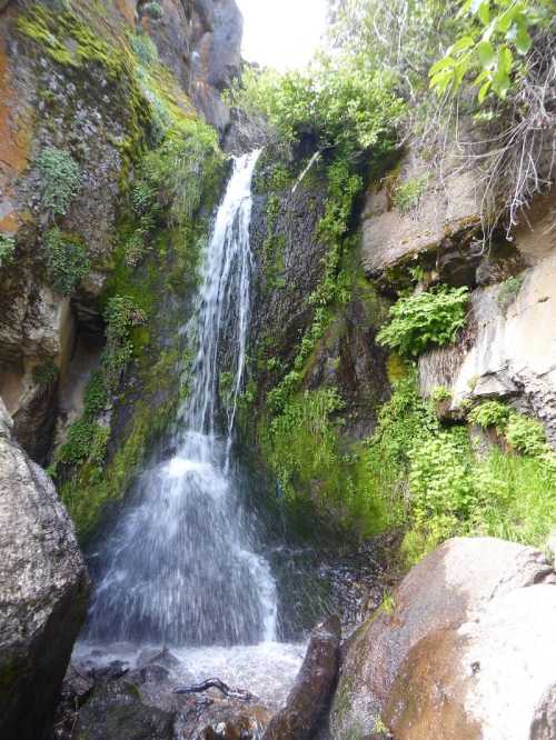 A serene waterfall cascading down rocky terrain, surrounded by lush green foliage and moss.