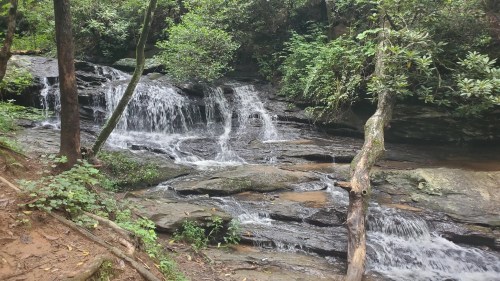 A serene forest scene featuring a small waterfall cascading over rocky terrain, surrounded by lush greenery.