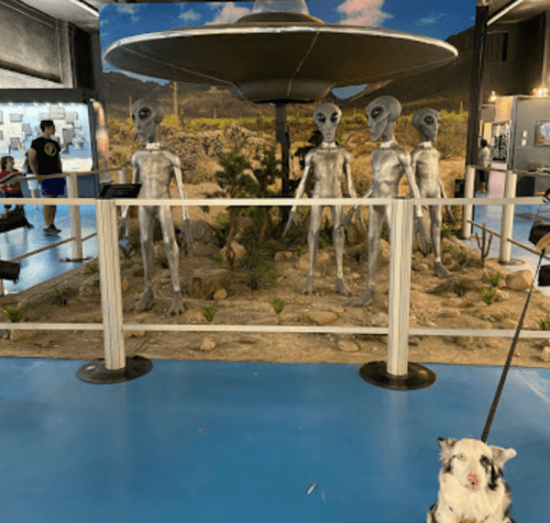 A display featuring four alien figures and a UFO, with a dog on a leash in the foreground.