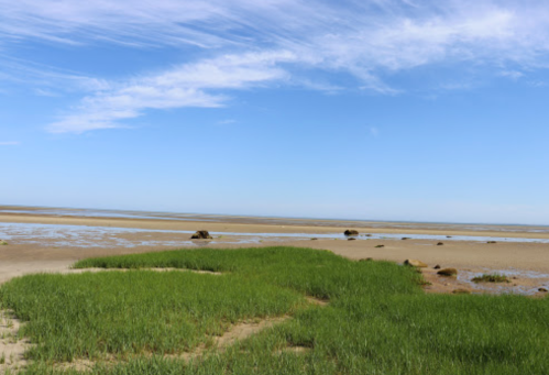 A serene coastal landscape featuring green grass, sandy shore, and a clear blue sky with scattered clouds.