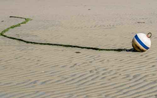 A beach ball rests on sandy shore, leaving a trail of seaweed behind it.