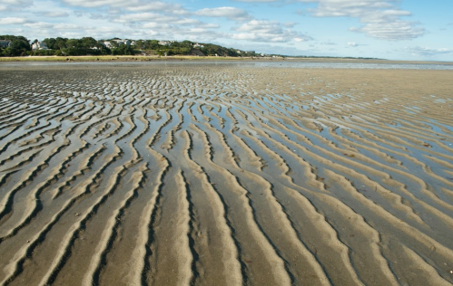Rippling patterns in wet sand at low tide, with a clear blue sky and distant shoreline in the background.