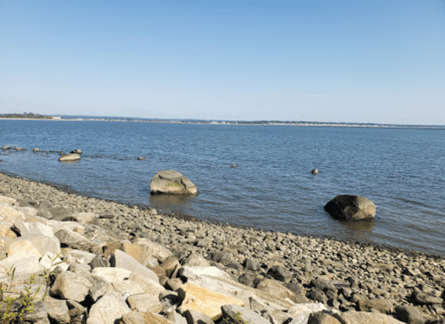 A serene shoreline with smooth stones and a calm blue water surface under a clear sky.