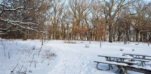 A snowy park scene with bare trees, a path, and a picnic table covered in snow.
