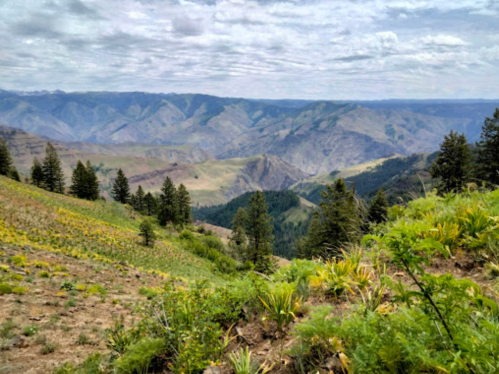 A scenic view of rolling mountains and valleys, with green vegetation and scattered trees under a cloudy sky.