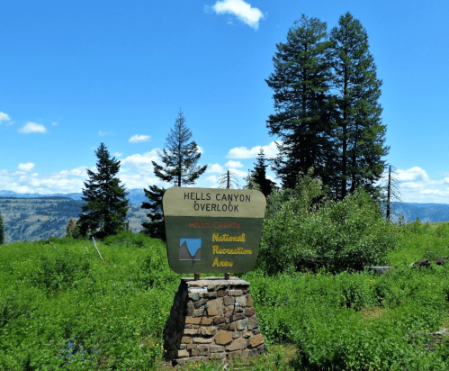 Sign for Hells Canyon Overlook surrounded by green vegetation and tall trees under a clear blue sky.