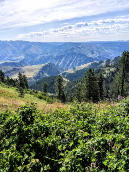 A scenic view of rolling mountains and valleys, with lush greenery in the foreground under a bright blue sky.